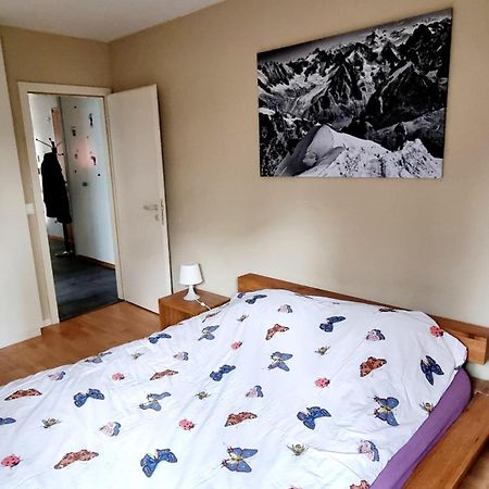 Appartement Avec Terrasse Σιόν Εξωτερικό φωτογραφία