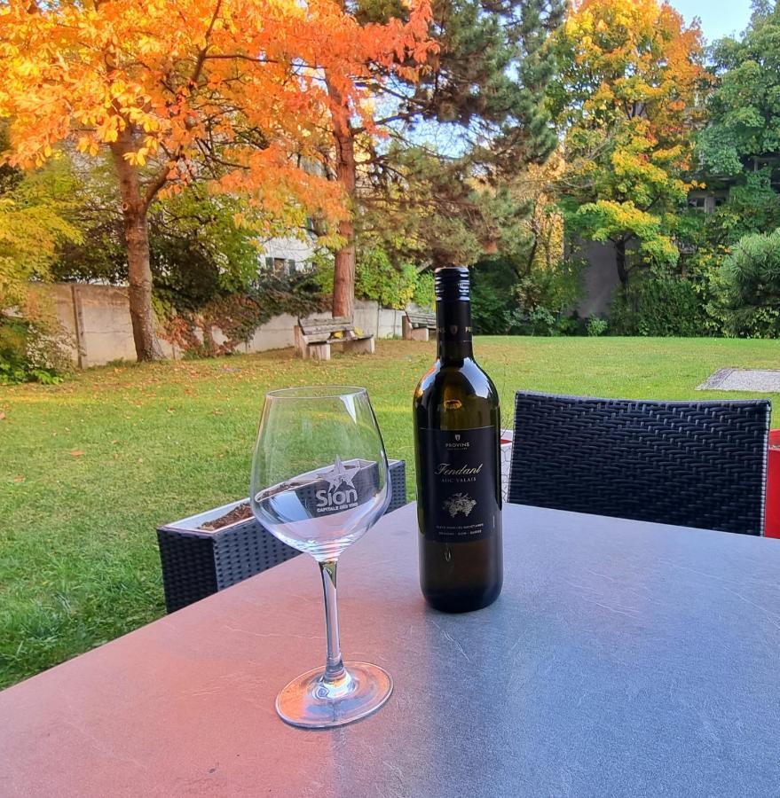 Appartement Avec Terrasse Σιόν Εξωτερικό φωτογραφία